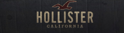 HollisterUSA.net/ logo