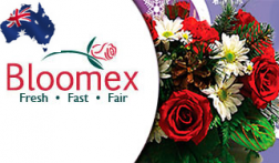 Bloomex logo