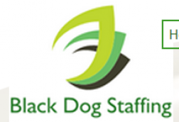 Black Dog Staffing logo