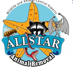 Allstar Animal Removal logo