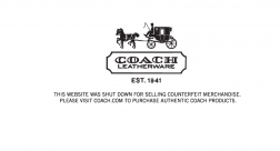 CoachOutlet2011.us logo