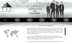FII Capital Partners, LLC logo