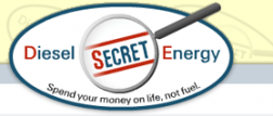 Diesle Secret Energy logo