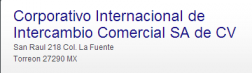 CORPORATIVO INTERNACIONAL DE INTERCAMBIO logo