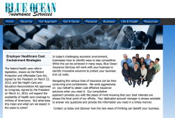 Blue Ocean Insurance logo