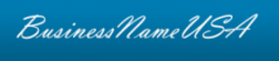 BusinessNameUSA logo
