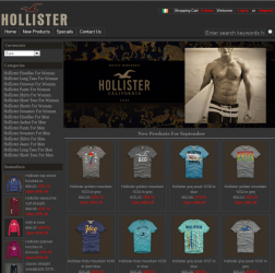HollisterIreland.com (i.e.Hollister Dundrum) logo